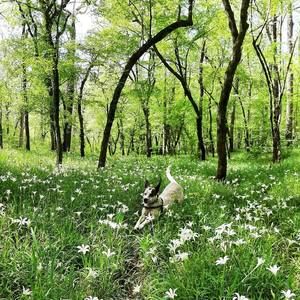 Meet your Posher, Darcy